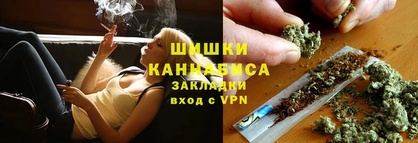 каннабис Богданович